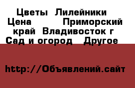 Цветы :Лилейники › Цена ­ 100 - Приморский край, Владивосток г. Сад и огород » Другое   
